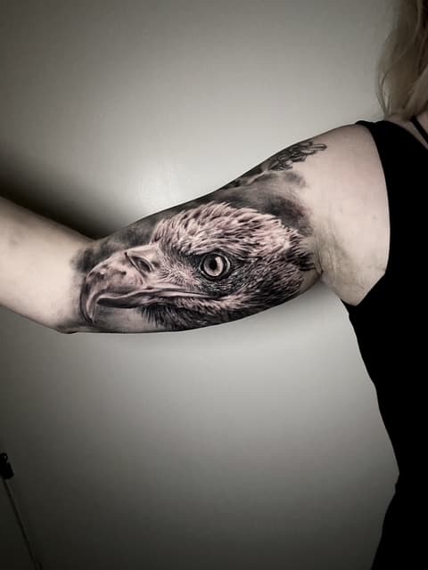 Eagle