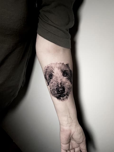 Dog Portrait